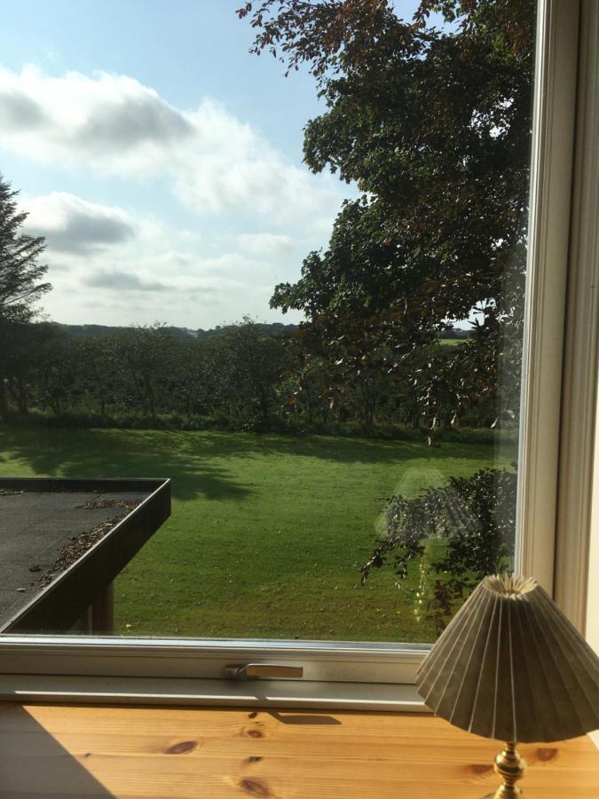 Lintrup B&B Eksteriør bilde